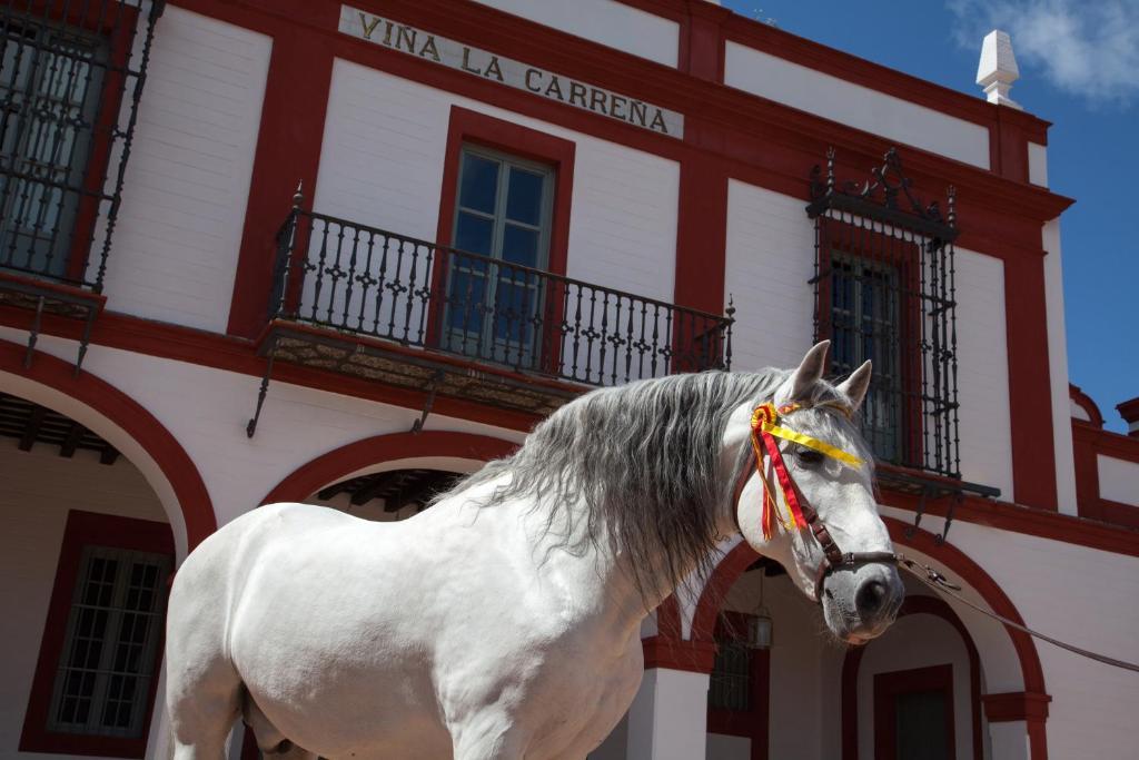 La Carrena Hotel Jerez de la Frontera Cameră foto